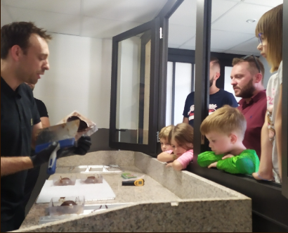 chocolatier patisserie a la bresse Chez pierre vosges